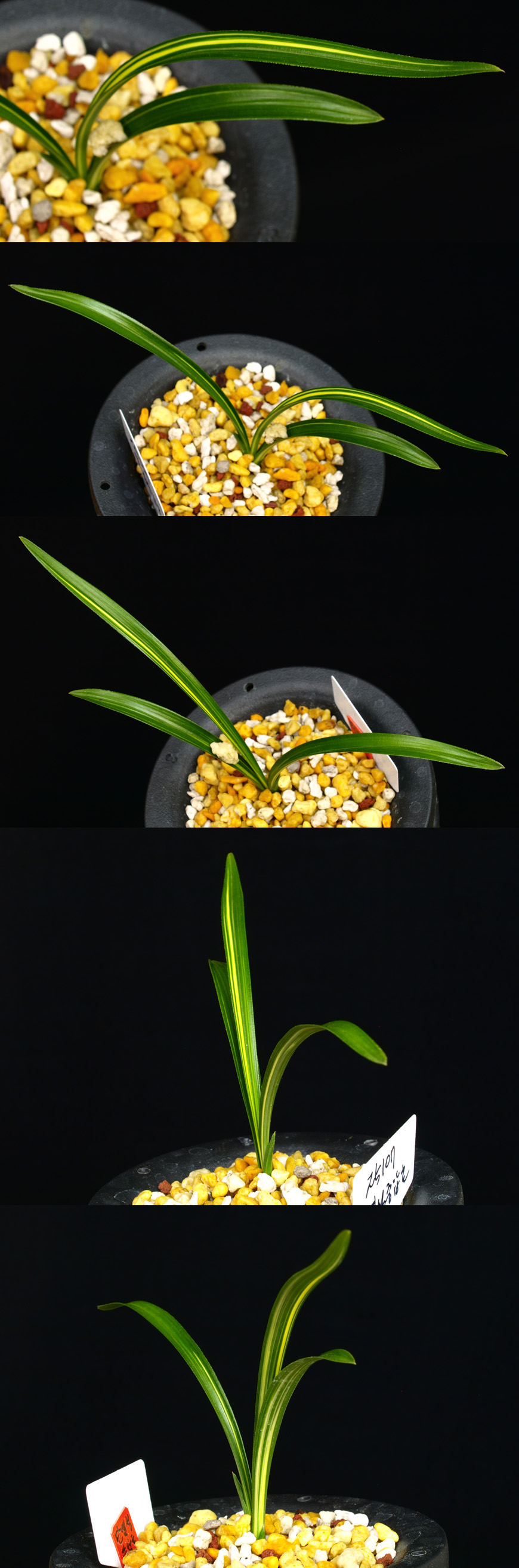 ������ ū������ �� �� �ֽ��ϴ�.