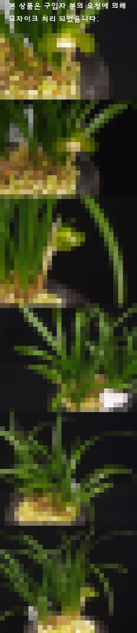 ������ ū������ �� �� �ֽ��ϴ�.