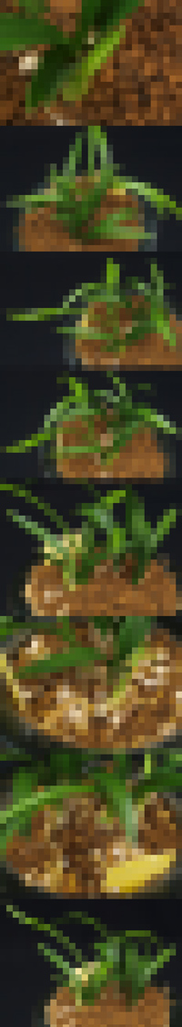 ������ ū������ �� �� �ֽ��ϴ�.